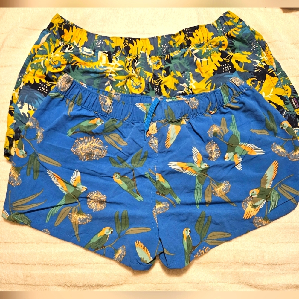 Patagonia Size Large Shorts